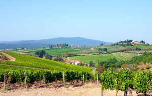 Вино Италии